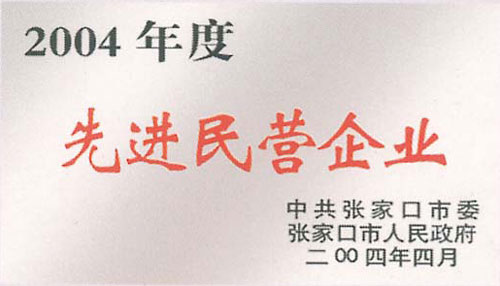 2004Äêµ×ÏȽøÃñÓªÆóÒµ